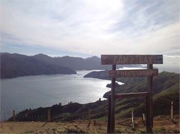 Camp Bay, French Pass Road, French Pass - Marlborough