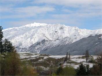 The Orchard Cottage - Queenstown