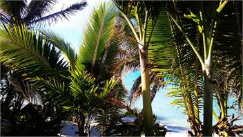 Tina's Beachfront House - Cook Islands
