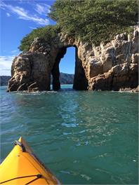Punga Paradise in Tata - Rd1 Takaka 