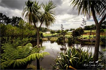 Mill Creek Cottage - Whitianga