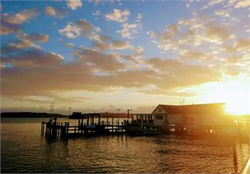 Unique Estuary | Bird Sanctuary Apartment | Paihia - Paihia