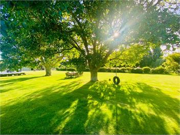 Botham's Beauty (Bachcare) - Blenheim