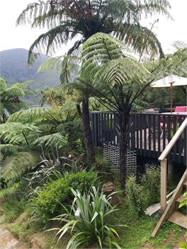 'Pines Lodge', Endeavour Inlet, Queen Charlotte Sounds - Picton