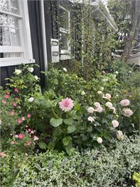 Swan Cottage - Taupo