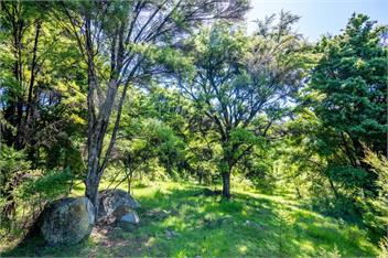 The Nature Hub - Whangarei
