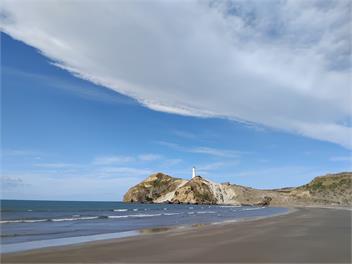 Castlepoint Beach House - Castlepoint