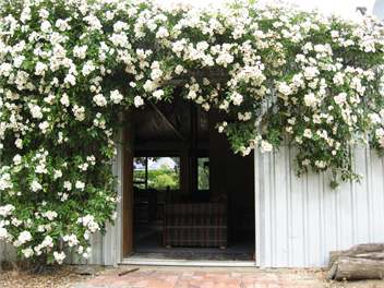 Manorburn cottage right on rail trail and at the foot of the manorburn dam - Alexandra