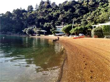 Beech's Bay - Queen Charlotte Sounds - Picton