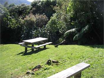 "Pine Haven" Endeavour Inlet - Queen Charlotte Sounds