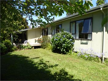 The Fern and Fossil - RD TE KUITI