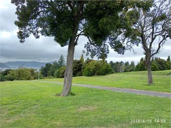 Belleknowes house -Sunny Close Town - Dunedin