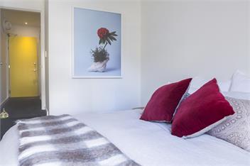 Art Stable: Central city boutique apartment - Wellington