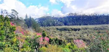 Unique Estuary | Bird Sanctuary Apartment | Paihia - Paihia