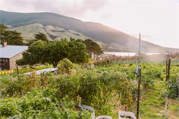 Kōtare Quarters - Stay Anakoha - Marlborough Sounds