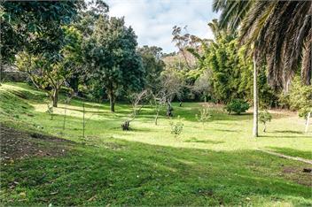 Onetangi Beach Cottage (Bachcare) - Onetangi