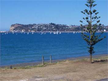 Number 79 - NAPIER