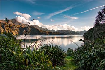 Whakitenga Cove - French Pass