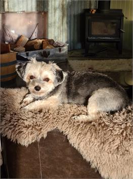 About Thyme for Sleeps and Treats Bed & Breakfast - Alexandra