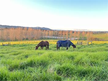 Hilltop farm house- Perfect for groups and Gatherings - Auckland 