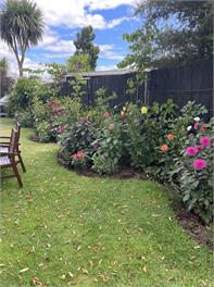 Swan Cottage - Taupo