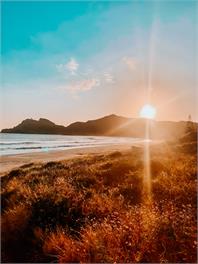 Bazza's Beach House - Great Barrier Island