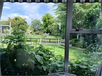 Twin Oaks Cottage - Nelson
