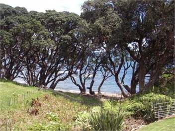 Bach Te Kopua - Te Kaha