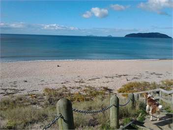 On Ocean Beach.. Paradise! - Tairua