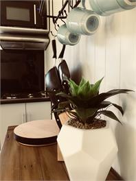 MK Studio Rarotonga - Avarua