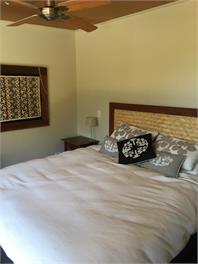 Waihi Beach Bush House - Waihi Beach