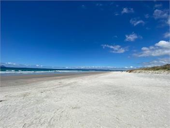 Beachfront Paradise in Ruakaka - Ruakaka