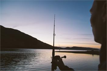 Kōtare Quarters - Stay Anakoha - Marlborough Sounds