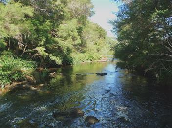 Havenbrooke (Bachcare) - Kerikeri