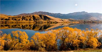Tussock Cottage - Arrowtown