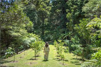 Te Arai Luxury Lodge - Te Arai