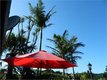 Tree Top Chalet - Whangarei