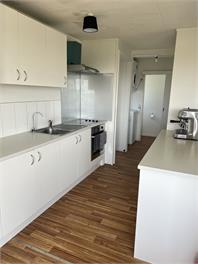 Willow Equestrian Cottage - Auckland