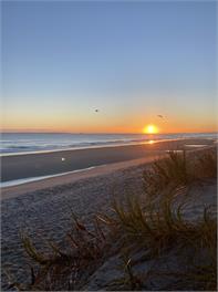 Mount Beach Escape - Tauranga