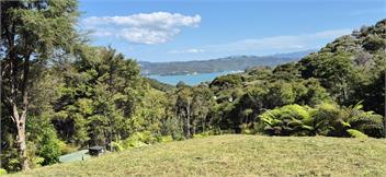 Hosts on the Coast Fernhaven Cabin - Whitianga