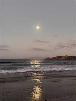 4 Wheel Drive Incl. 5 min walk from Ferry to car. - Waiheke Island