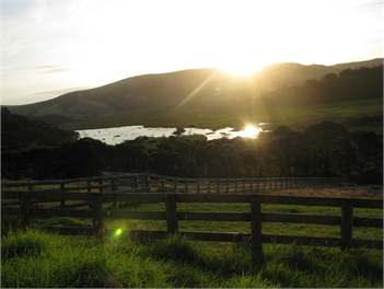 Te Aute Ridge Cottage - Auckland