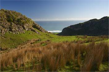 Golden Bay Cottage at Te Hapu - Nelson