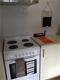 Dungarvon St Apartment - Central Wanaka - Wanaka 