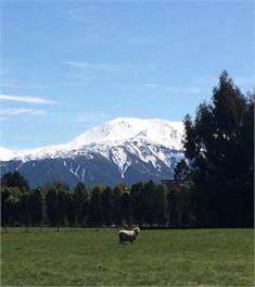 Morgan Street Cottage - Methven