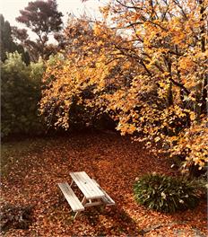 A-Frame. Ideal for families and large groups. - Greytown