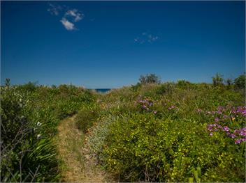 Sandy Doorstep (Bachcare) - Whangamata