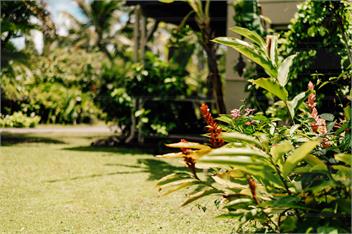 Arcadia Retreat - Villa Rua  - Rarotonga 
