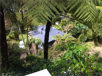 Nikau Retreat - New Plymouth