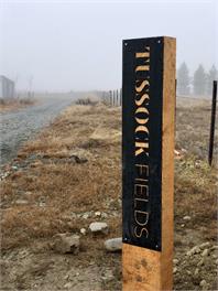 Tussock Fields - Twizel